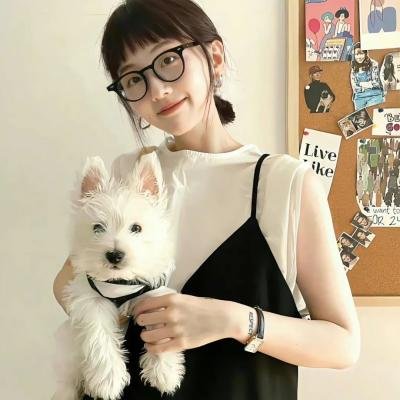 和歌子酒 第4季海报