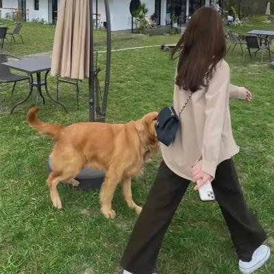 豪门怨灵海报